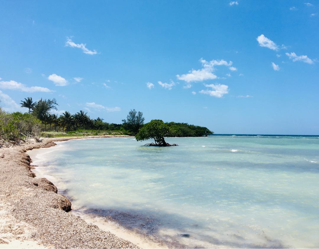 Cayo Jutias