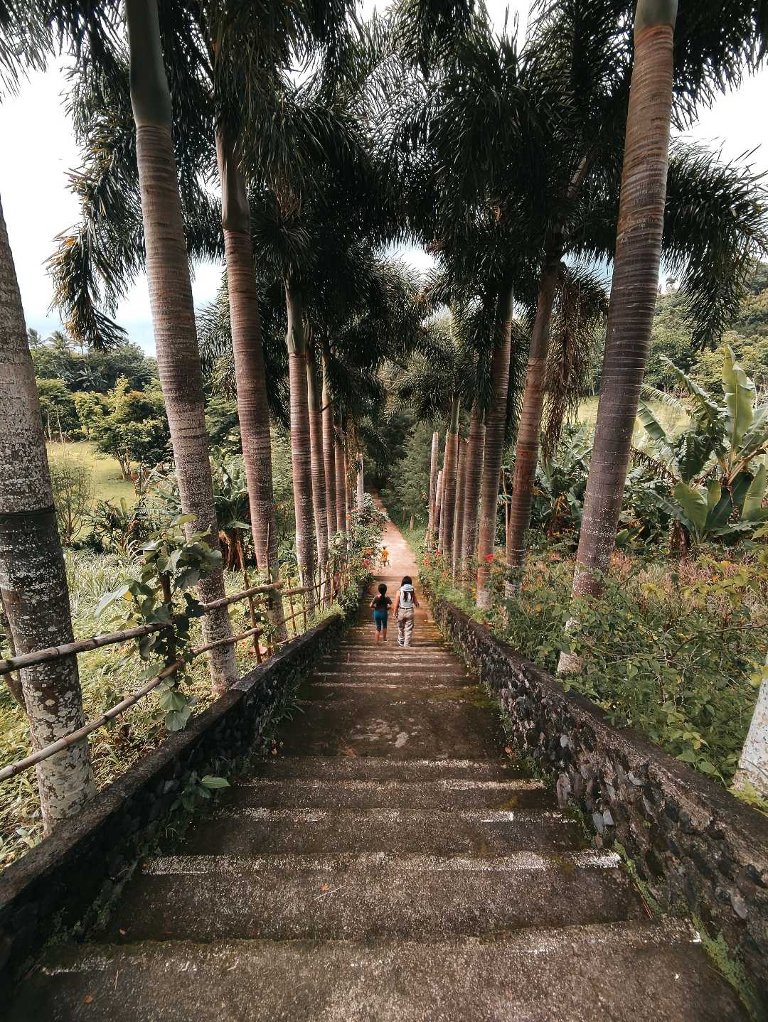 STAIRWAY OF HOLINESS