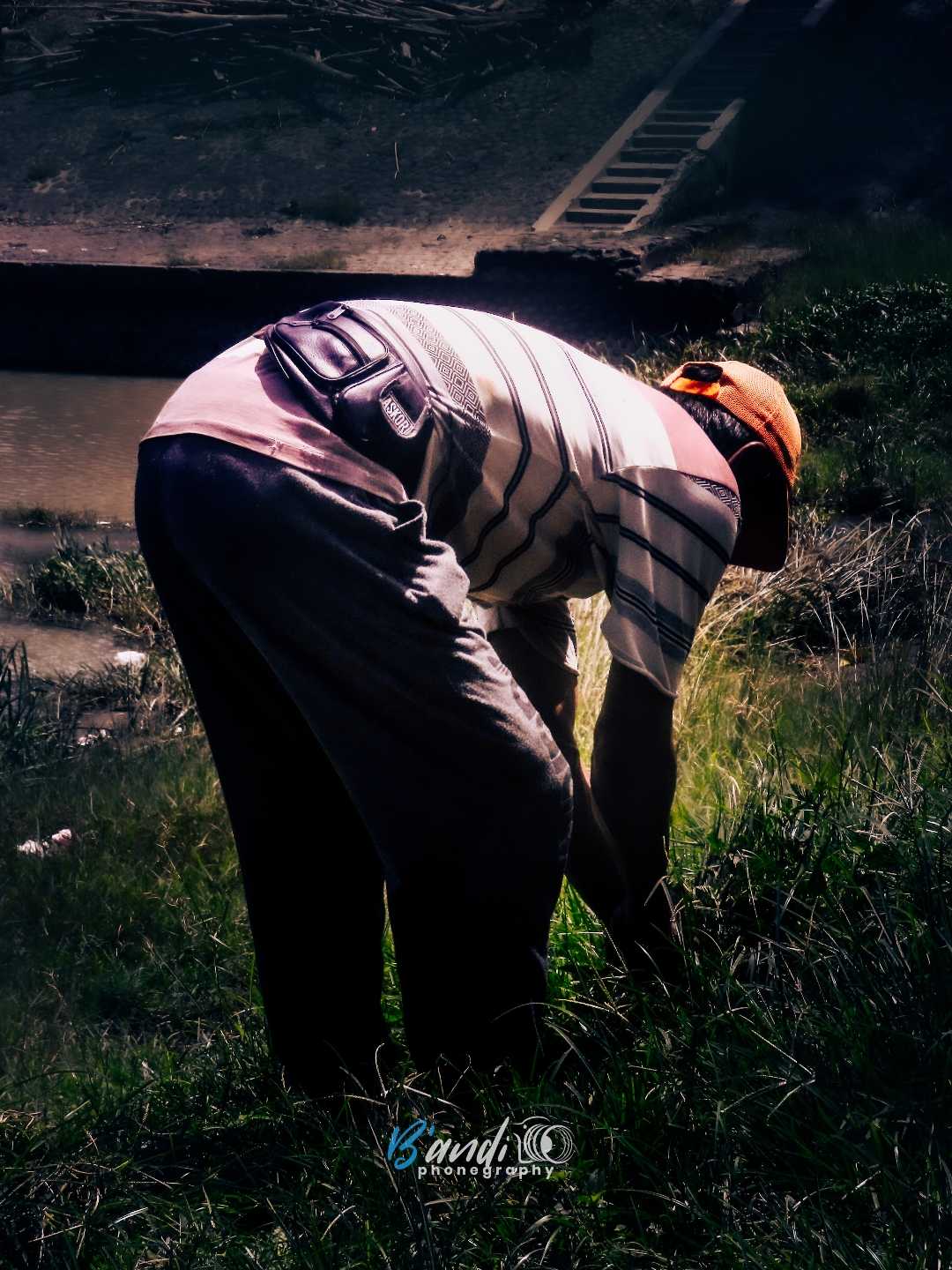 PAK TANI