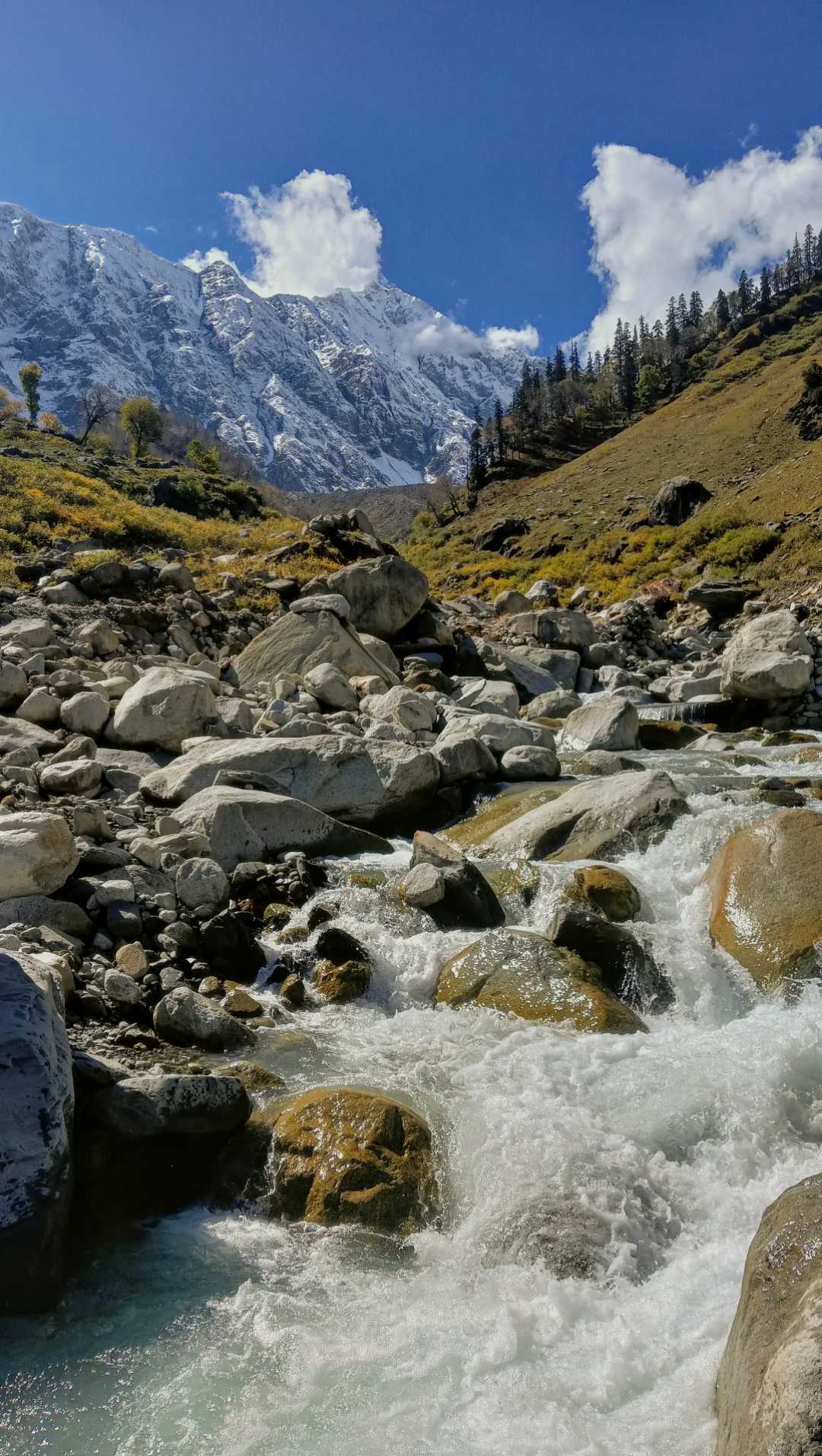Dhundi Meadows