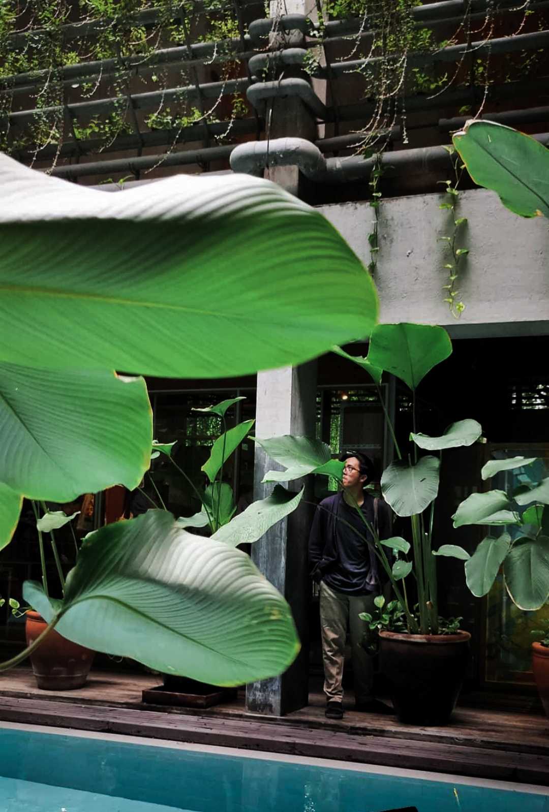 Green Lush Hotel