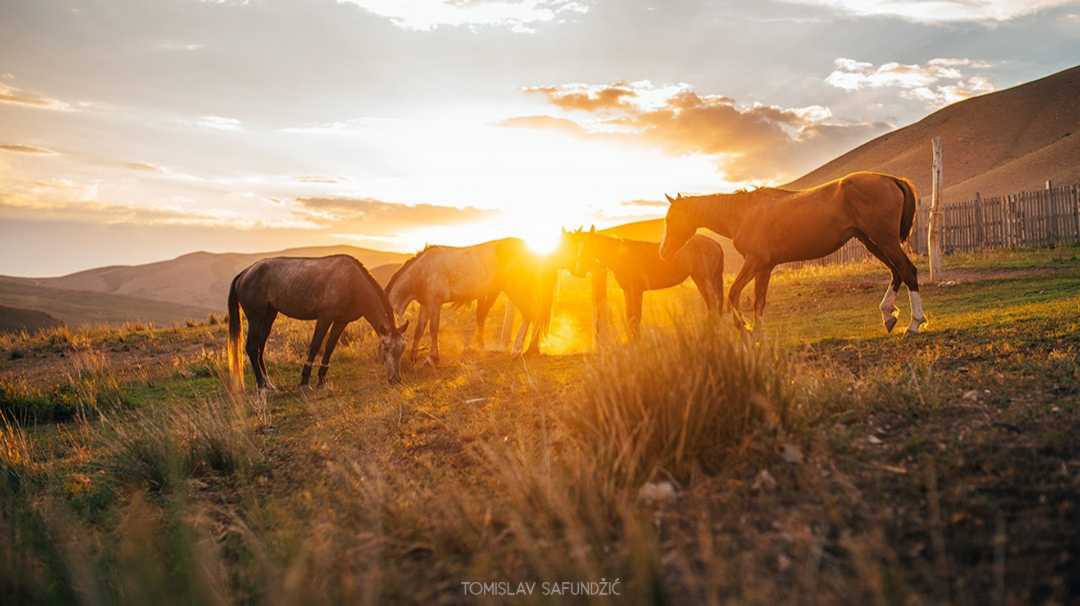 Nomads life style