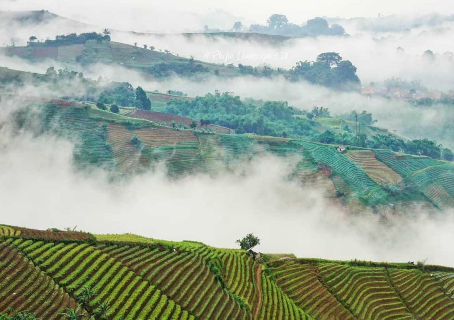 Teraseringpenyewaan Majalengka
