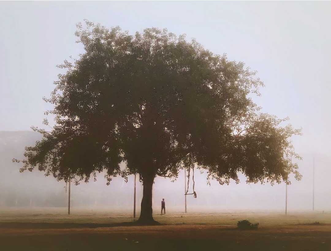 Hazy Winters 