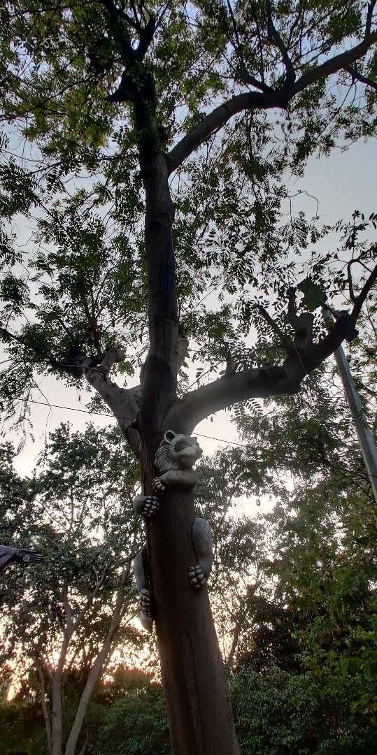 Save Trees