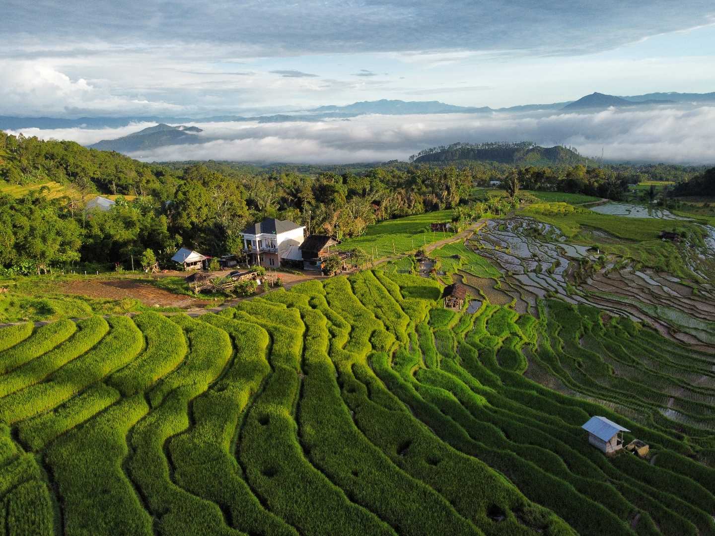 Nagari sikabukabu