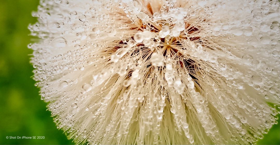 Macro