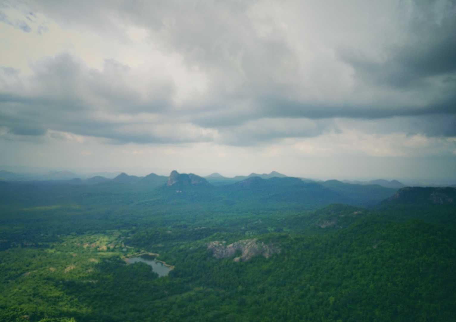 Chamtaburu