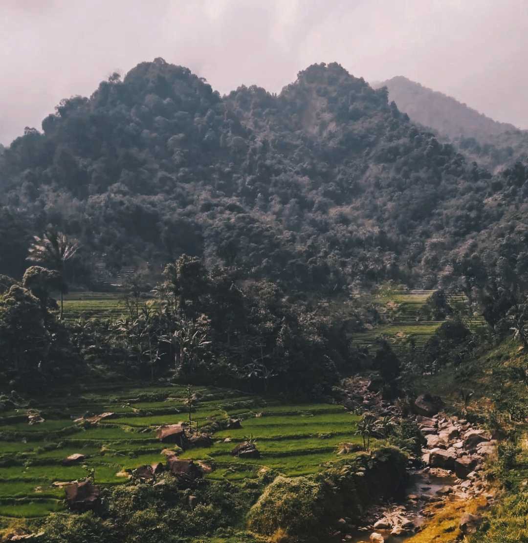 Gunung Pongkor