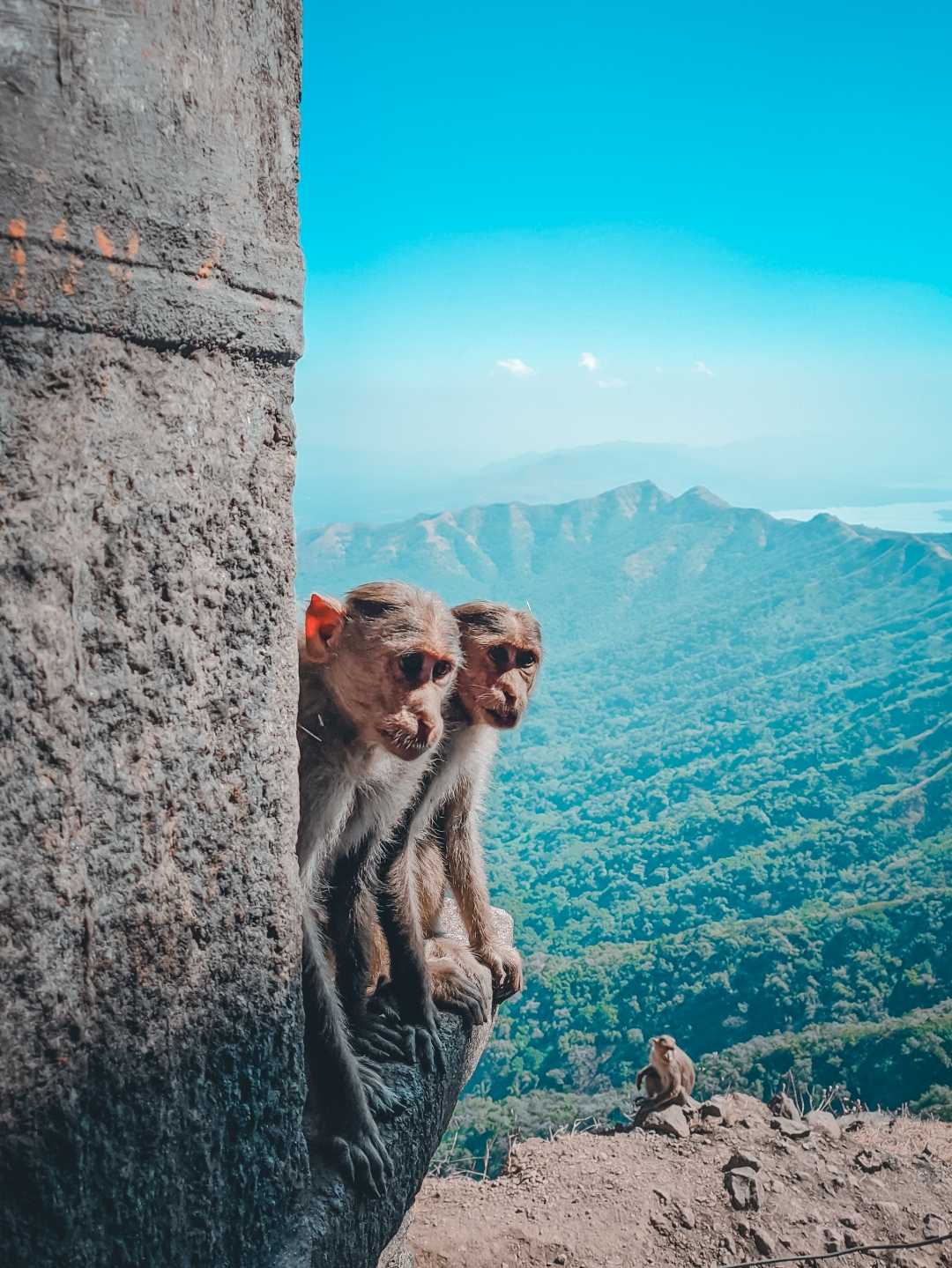 Rajgad fort