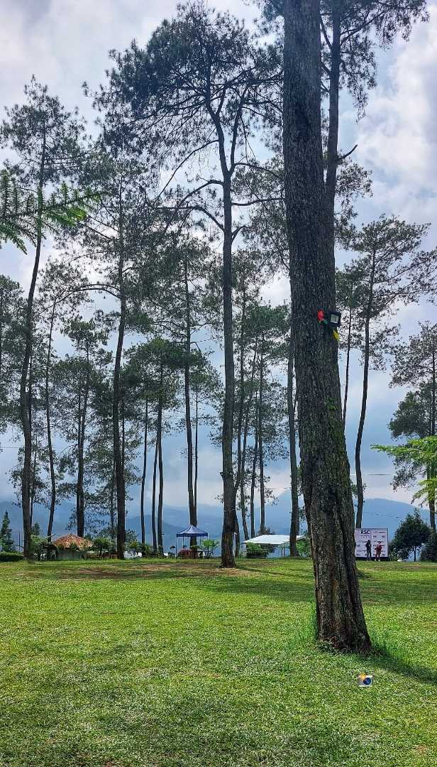 Orchid Forest Cikole