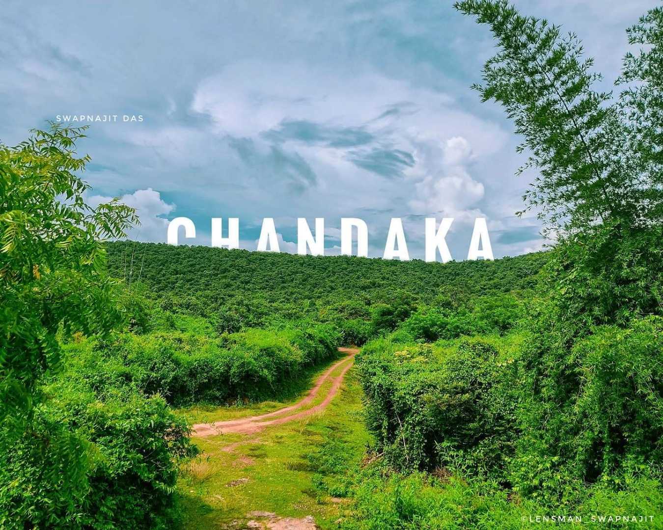 Chandaka Elephant Sanctuary 🐘