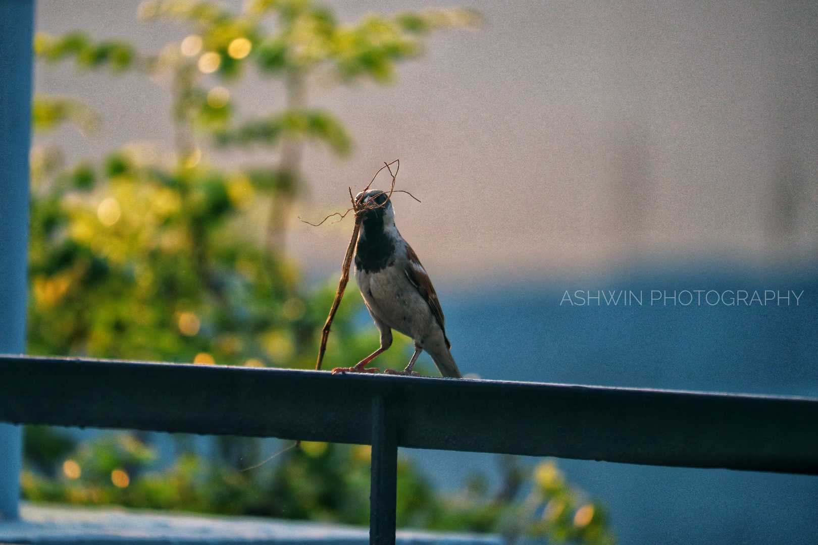 birdwatching 😁