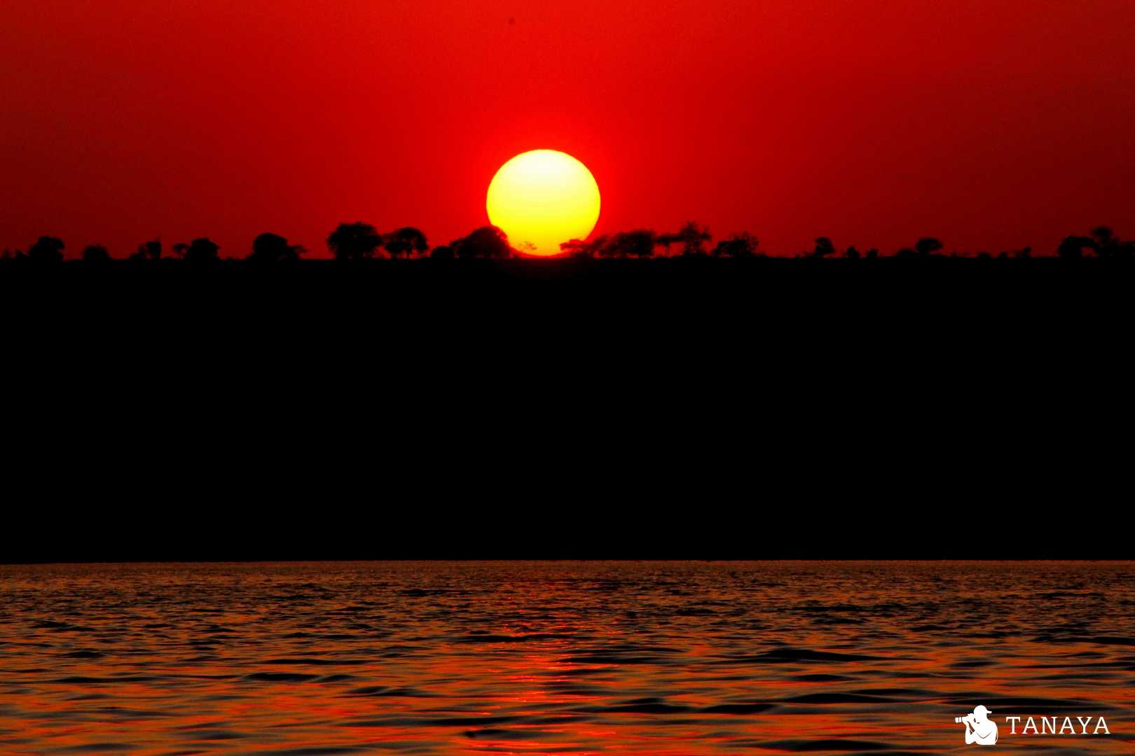 Bloody Red Sunset 
