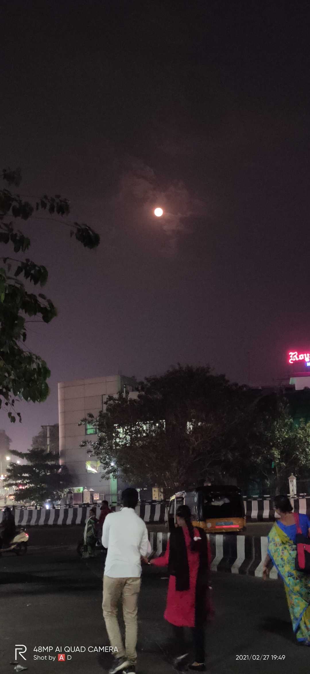 lovebirds+full moonlit night