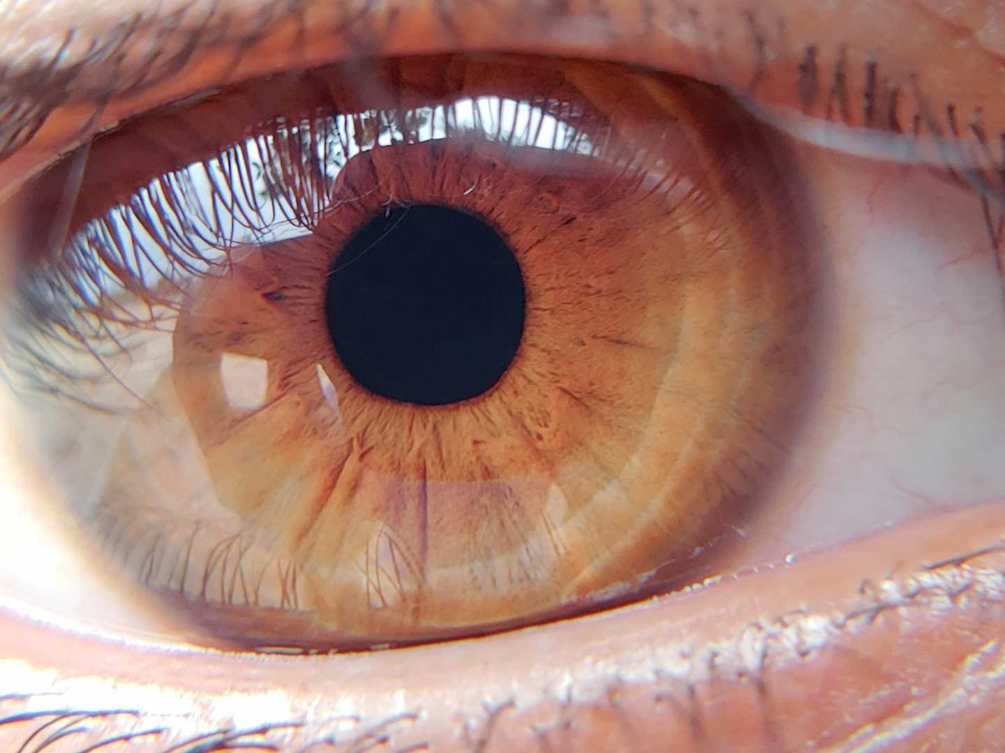 Macro eye