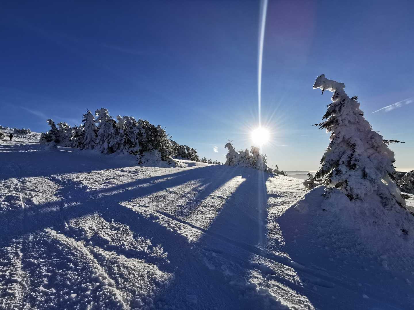 Śnieżnik, Sudety