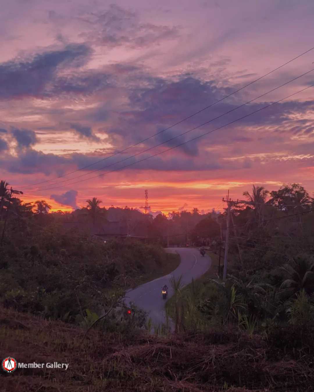 karya hari ini