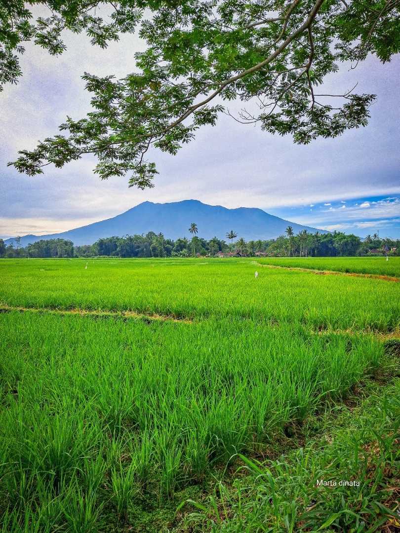 Gunung marapi