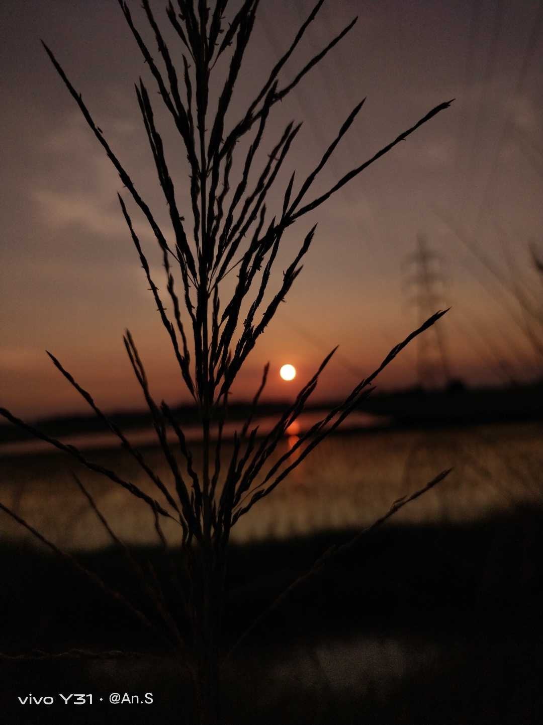 Sunset 📸