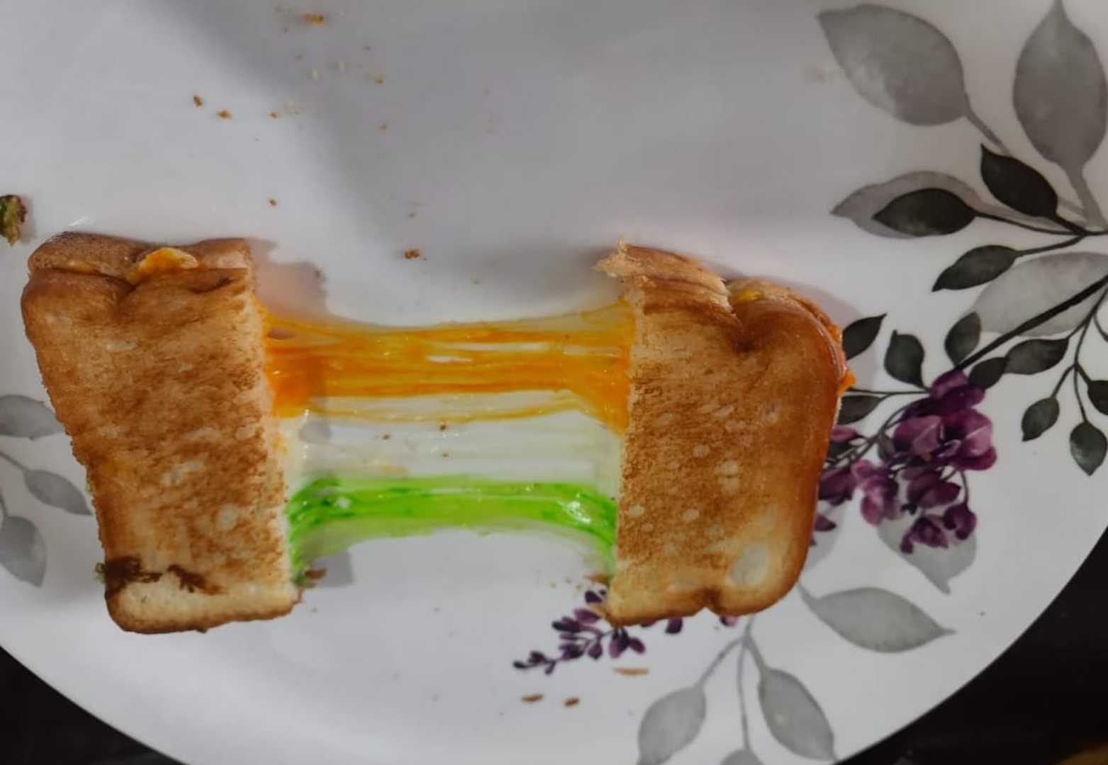 Republic day special
