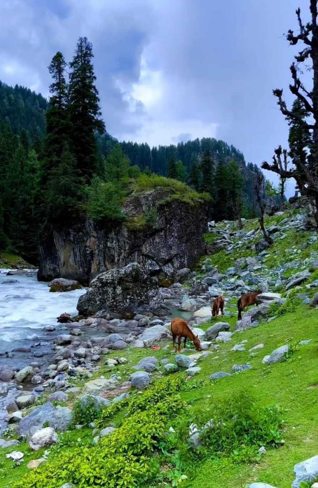 Sonamarg
