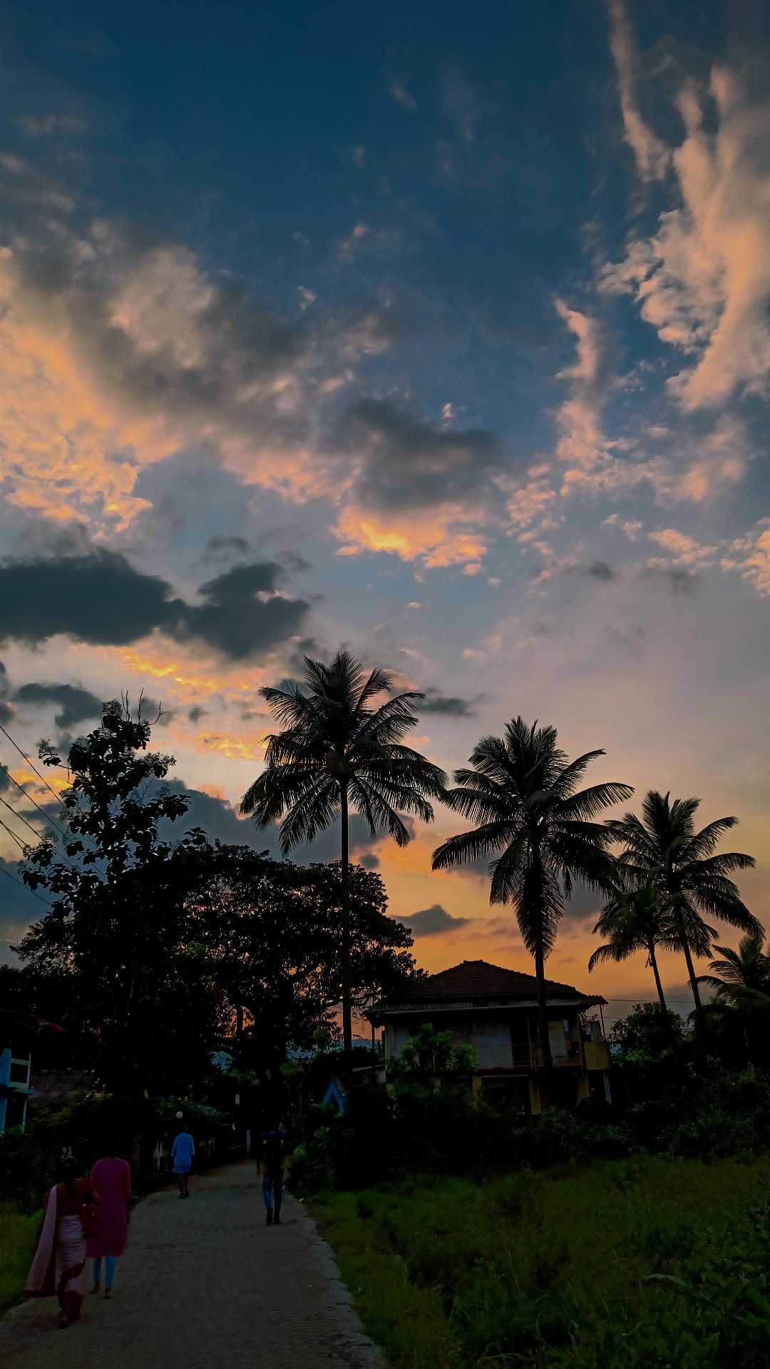 Sunset 🌇
