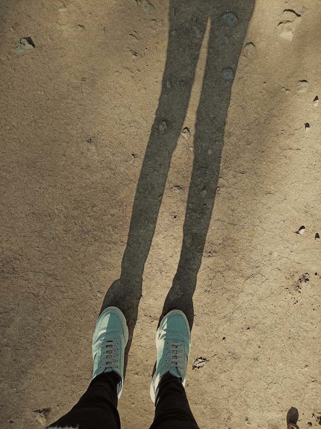 shadow 