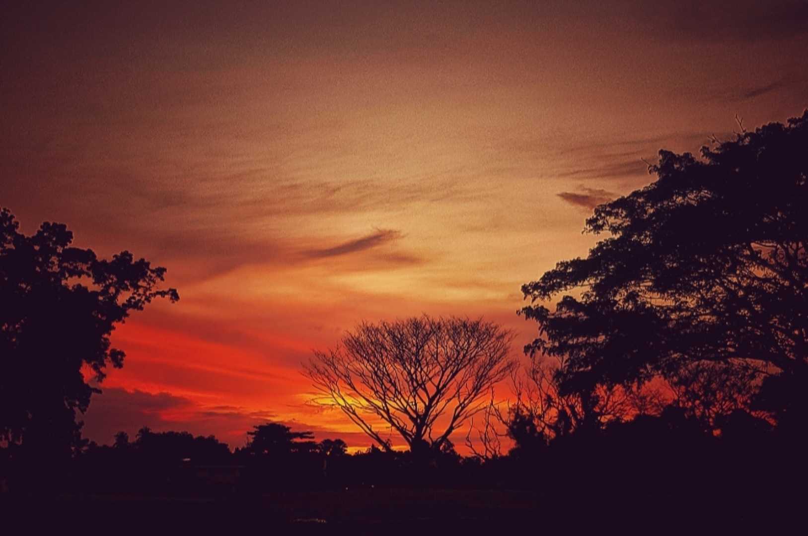 Nature art