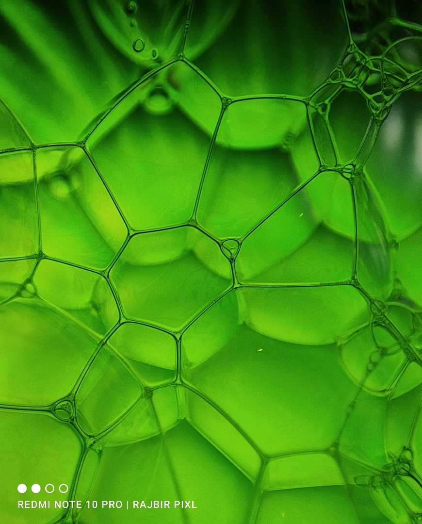 Creative Macro Shot