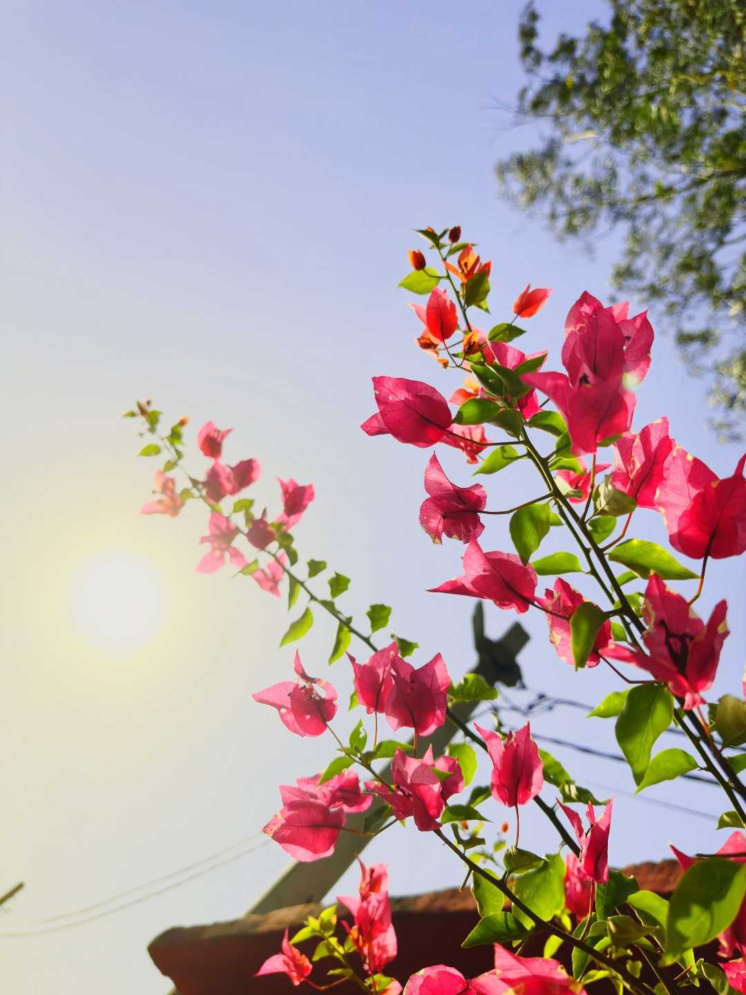 #SpringOnPindle