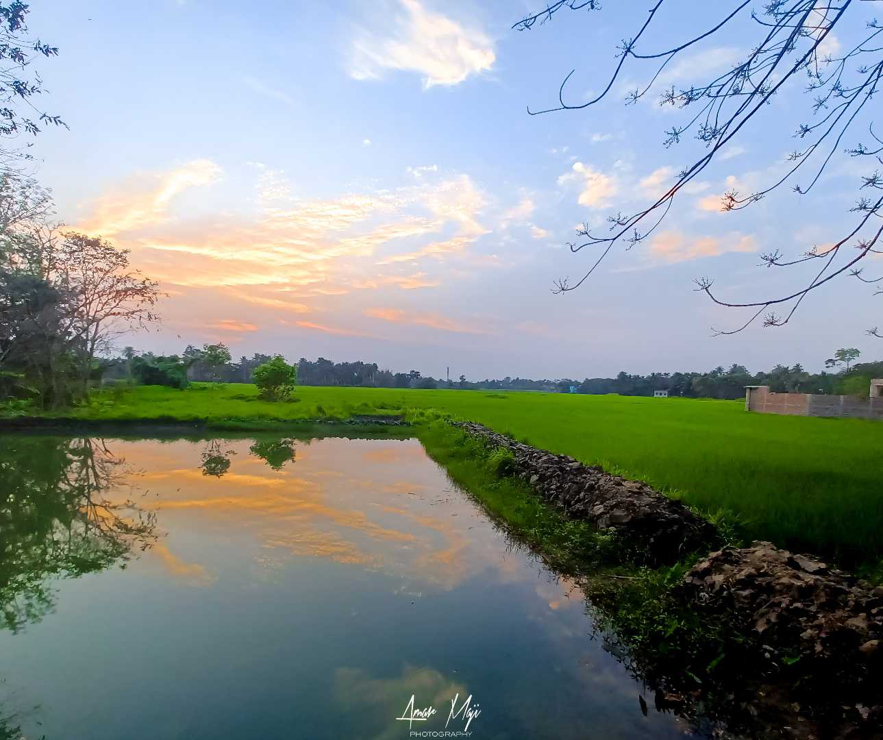 Calm dusk 🤍