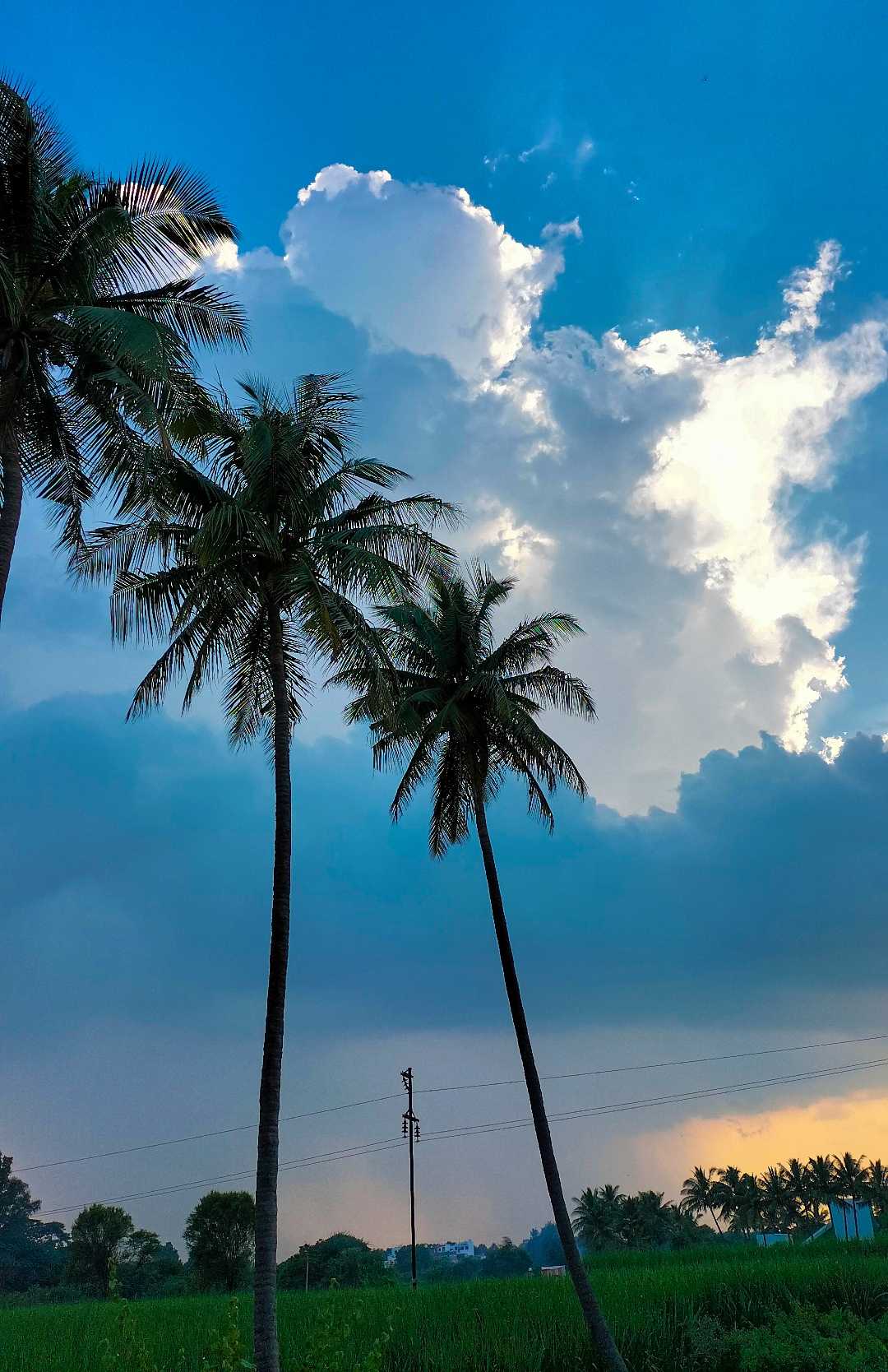 Nature beauty 