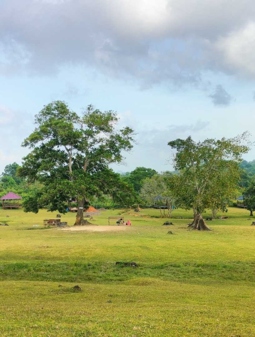Bukit Kebo Km 8