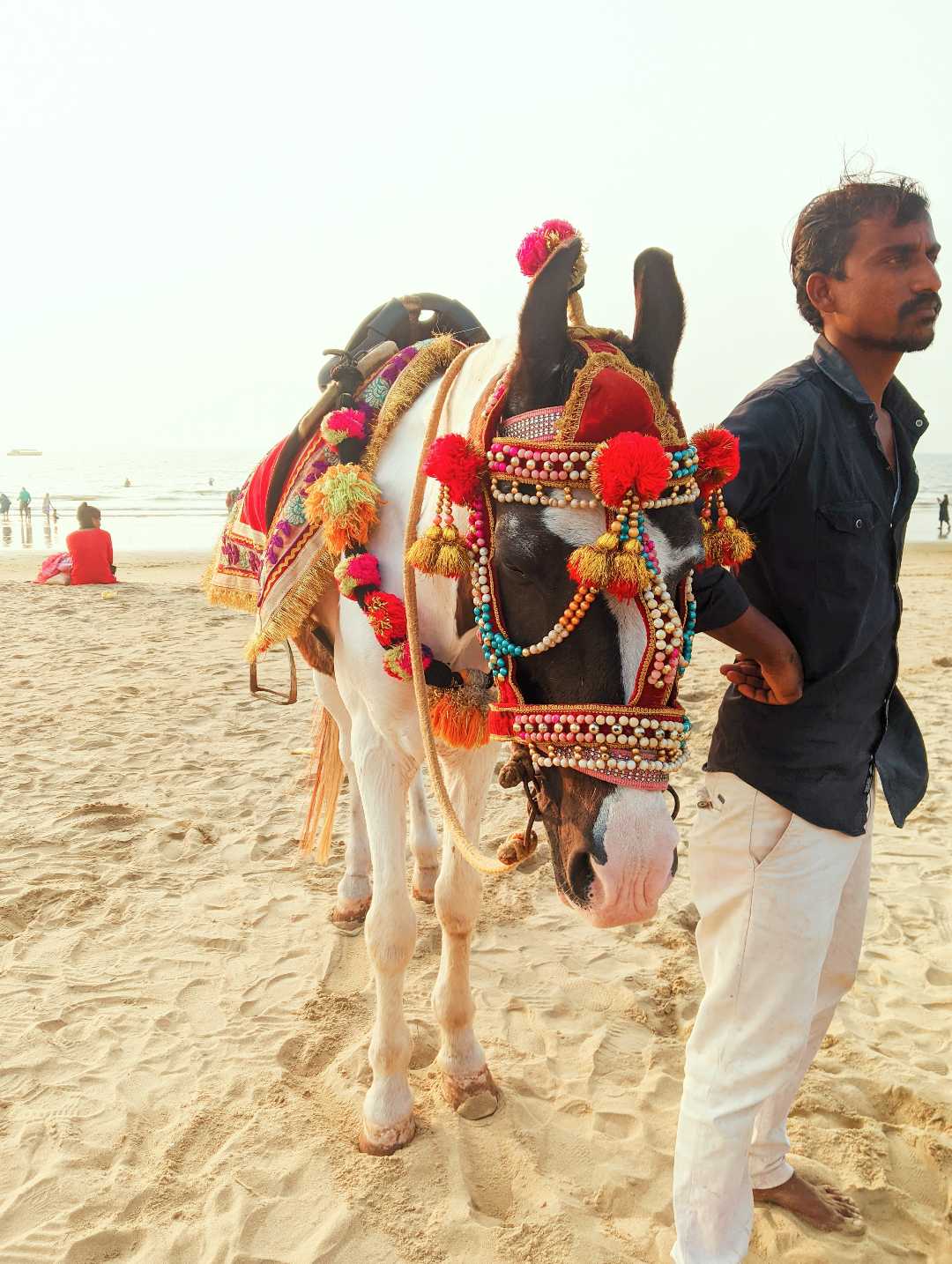 Karwar's attraction ❣️