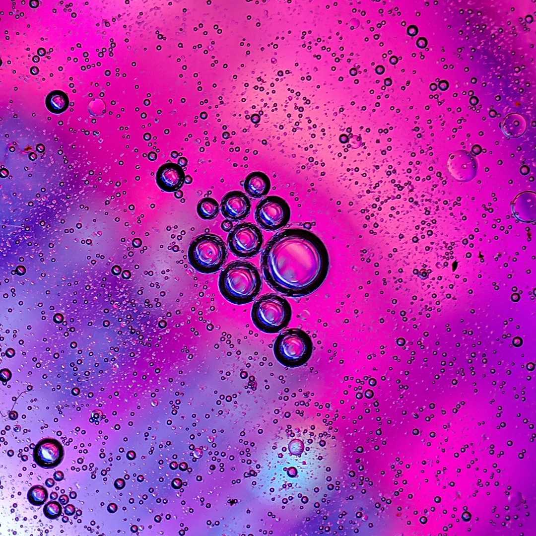 colourful macro world