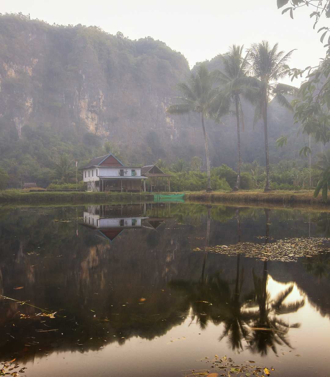 morning scene 