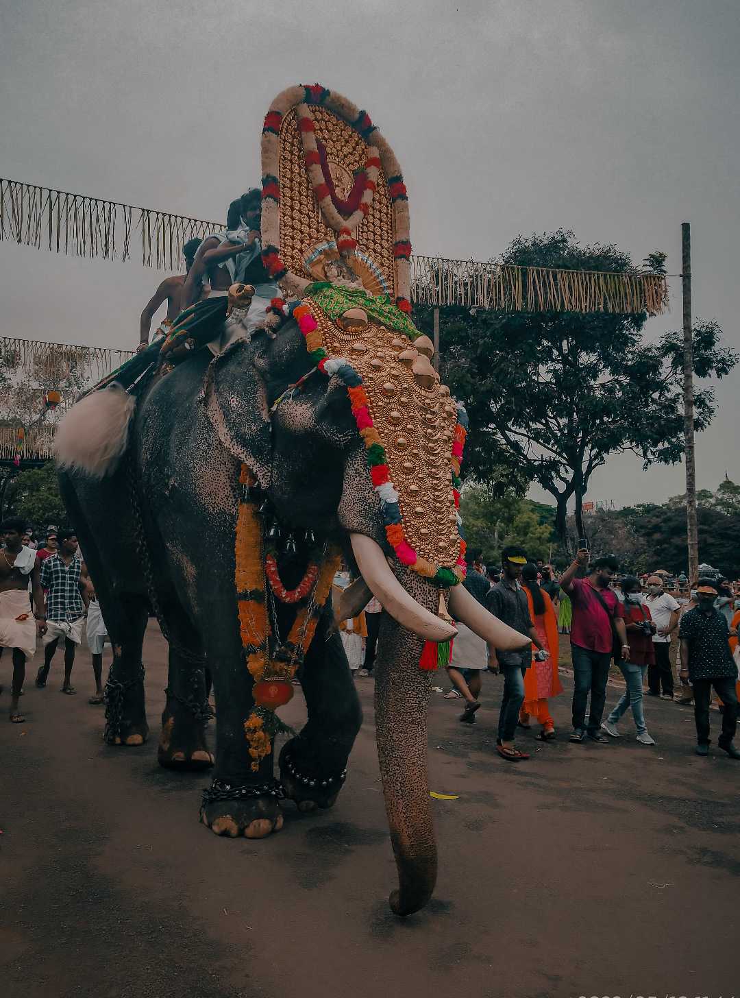 Thrissur pooram 2022