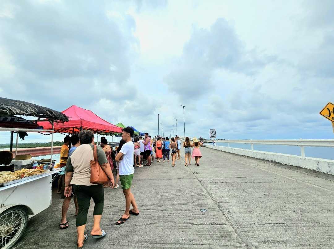 The afam bridge .