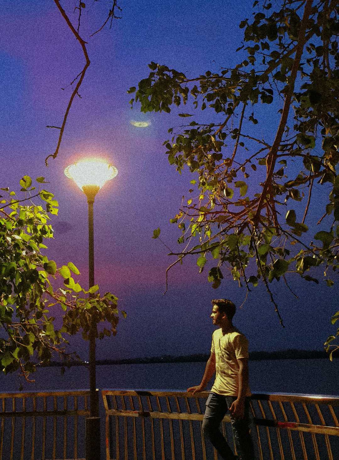 Evening 