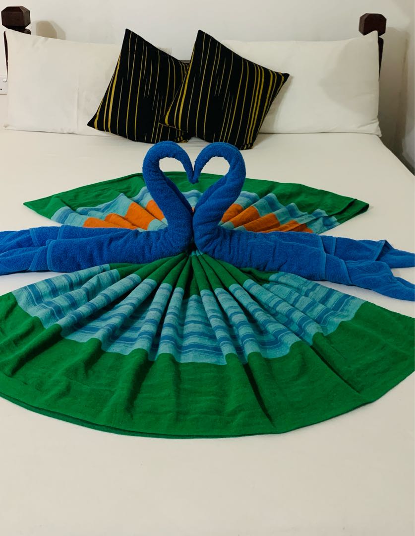 Towel Art