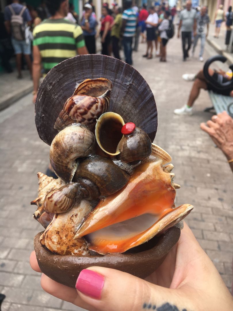 Artesanías 🐚 