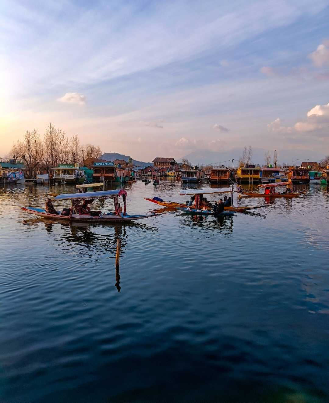 Dal lake
