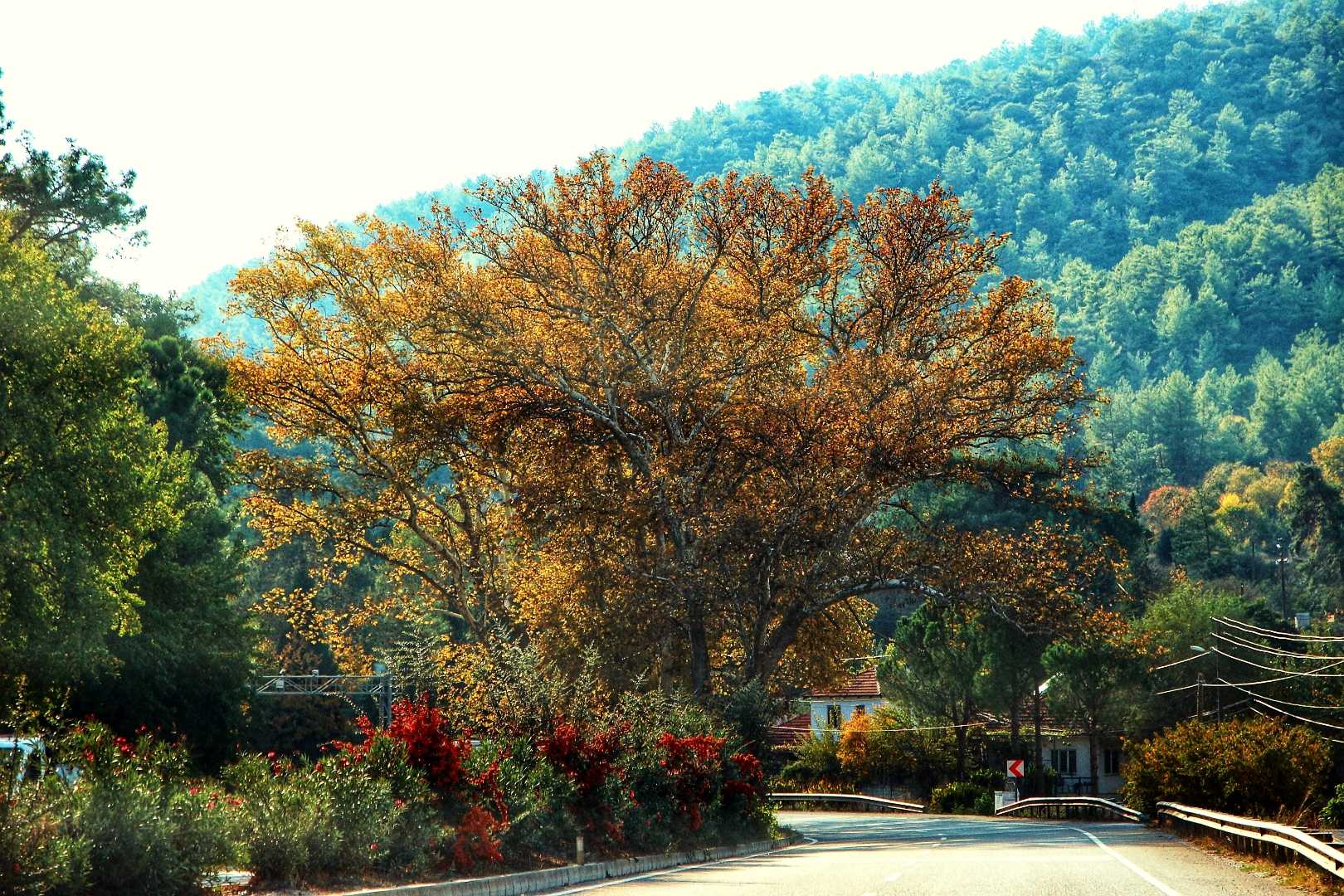 Marmaris 