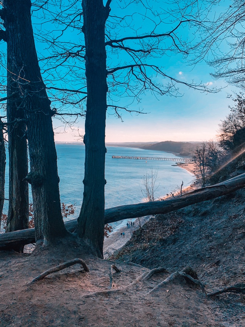 📍Gdynia, Klif Orłowski