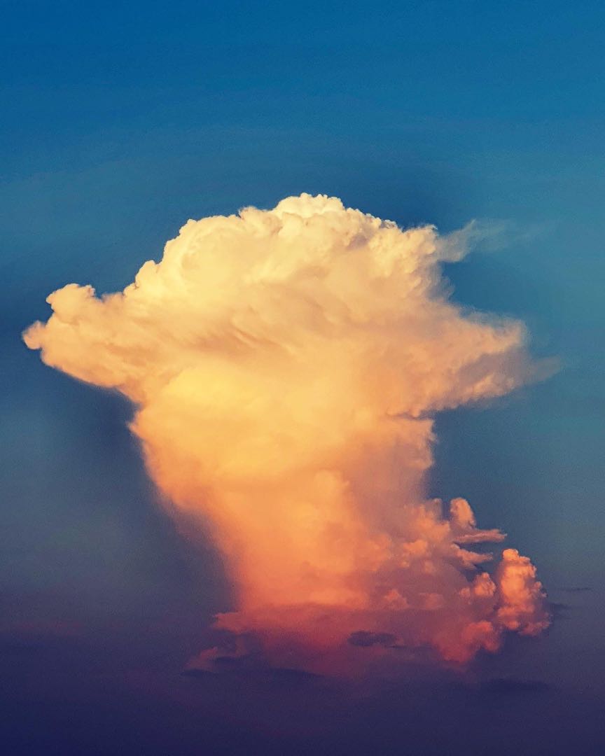 Nature never seizes to amaze you…