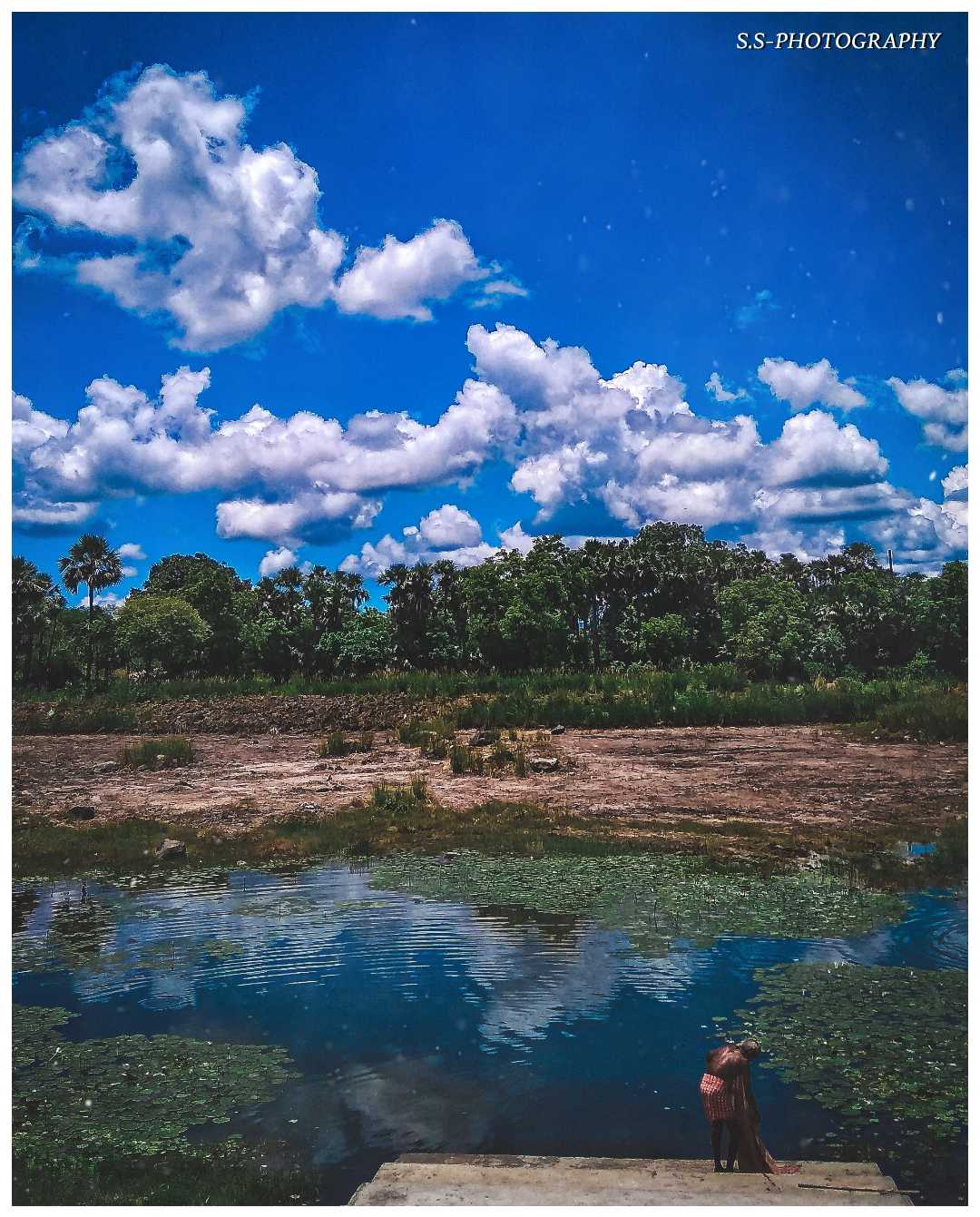 Village pond 
