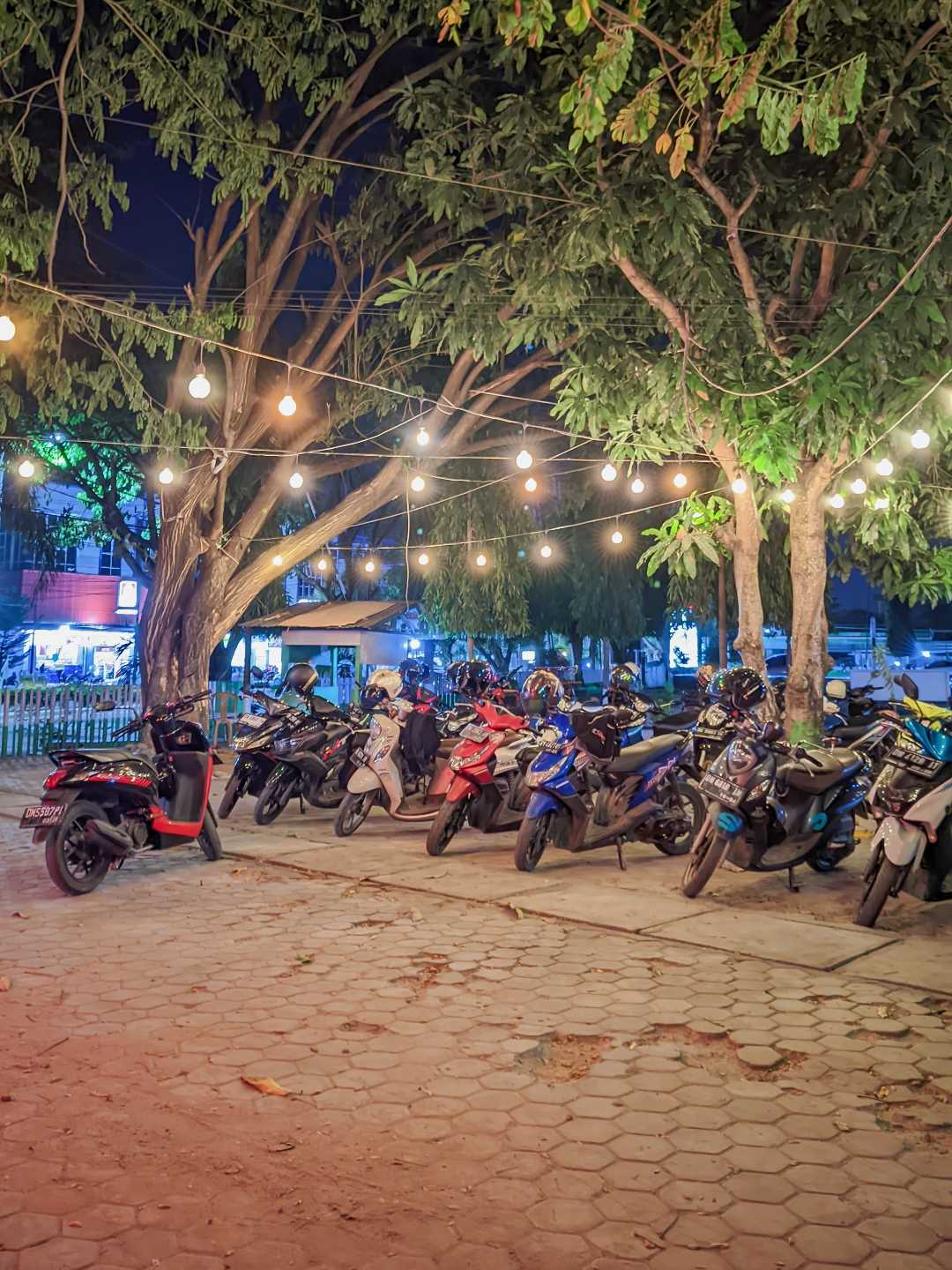 Night Shot