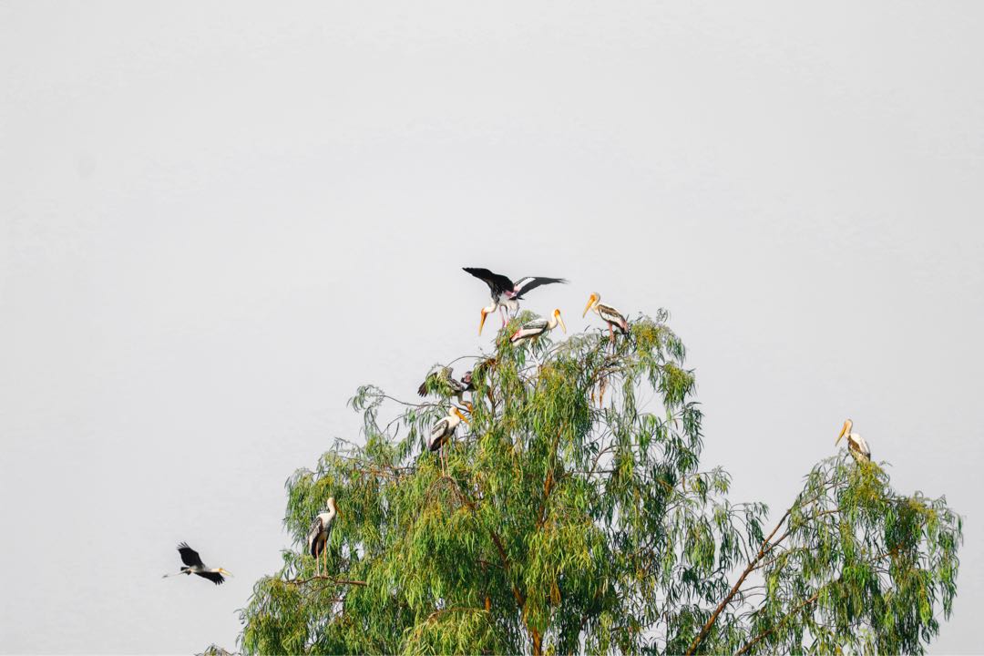 hingolgadh, Gujarat 
