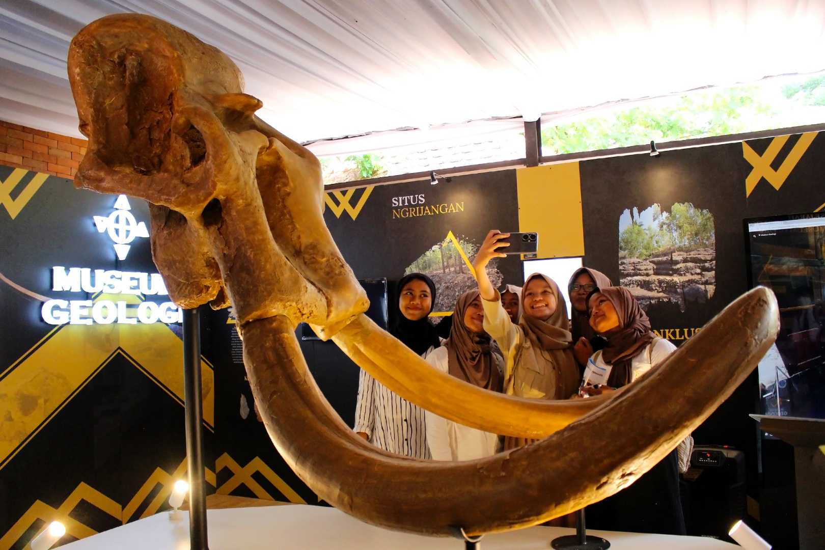 Museum Geologi